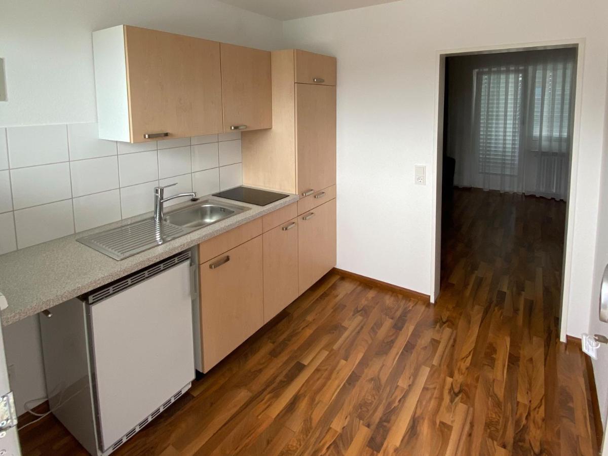 Zum Ziel Hotel Grenzach-Wyhlen Bei Basel Luaran gambar