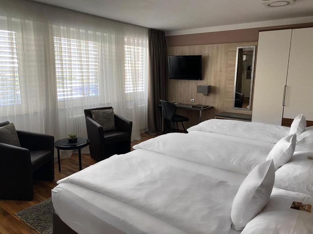 Zum Ziel Hotel Grenzach-Wyhlen Bei Basel Luaran gambar